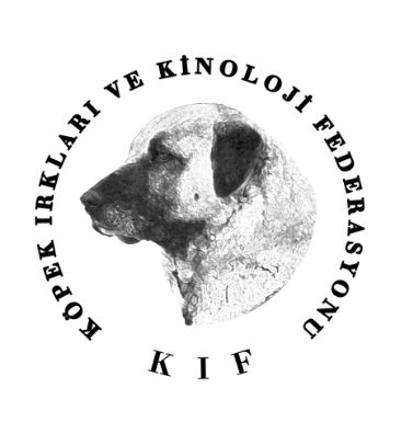 kif.org.tr
