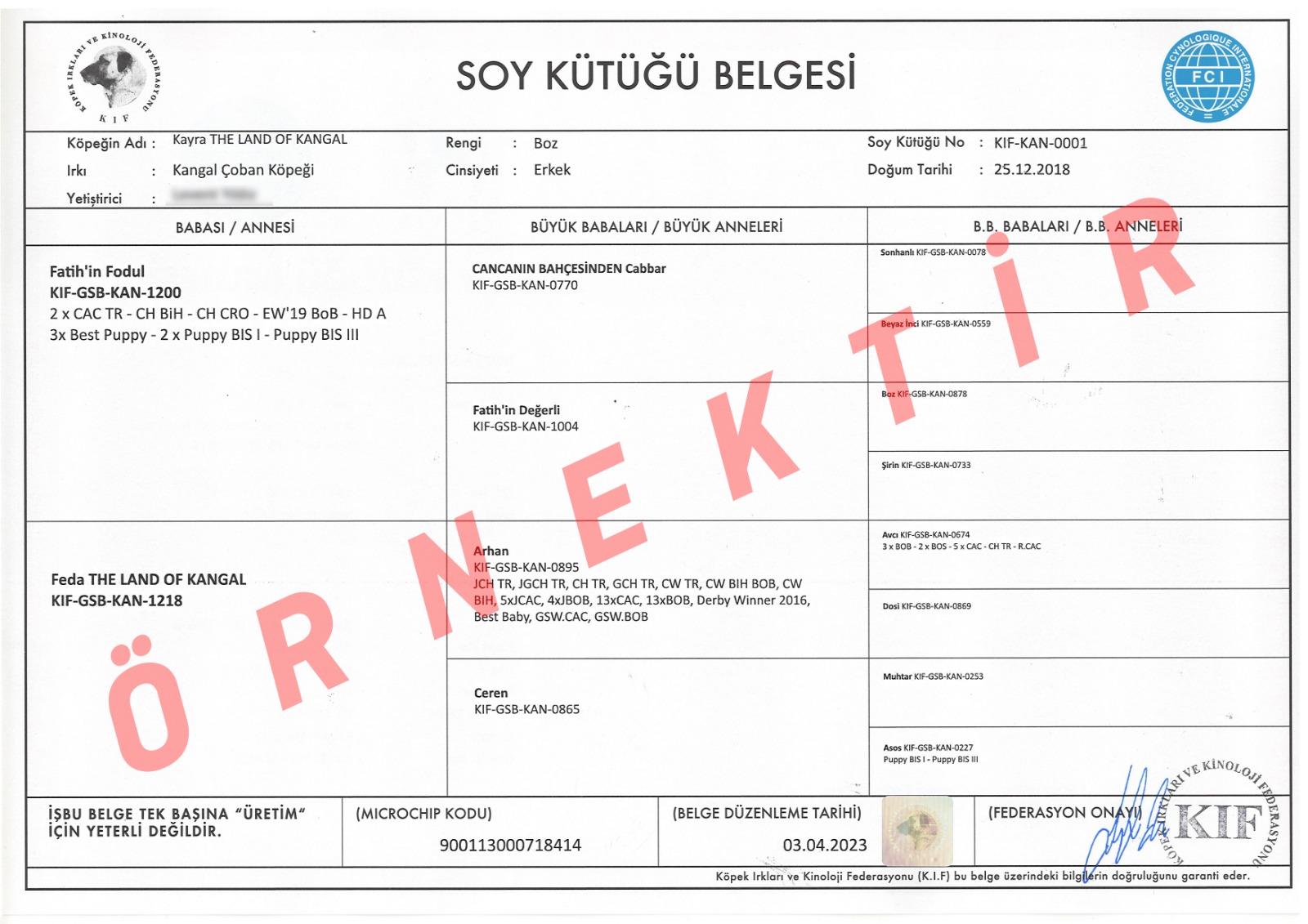 Köpek şeceresi örneği