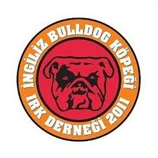 İNGİLİZ BULLDOG IRK DERNEĞİ