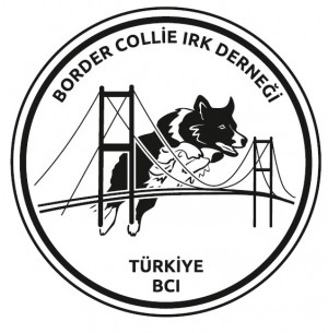 BORDER COLLIE IRK DERNEĞİ