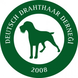 ALMAN TEL TÜYLÜ AV KÖPEĞİ (DEUTSCH DRAHTHAAR) DERNEĞİ