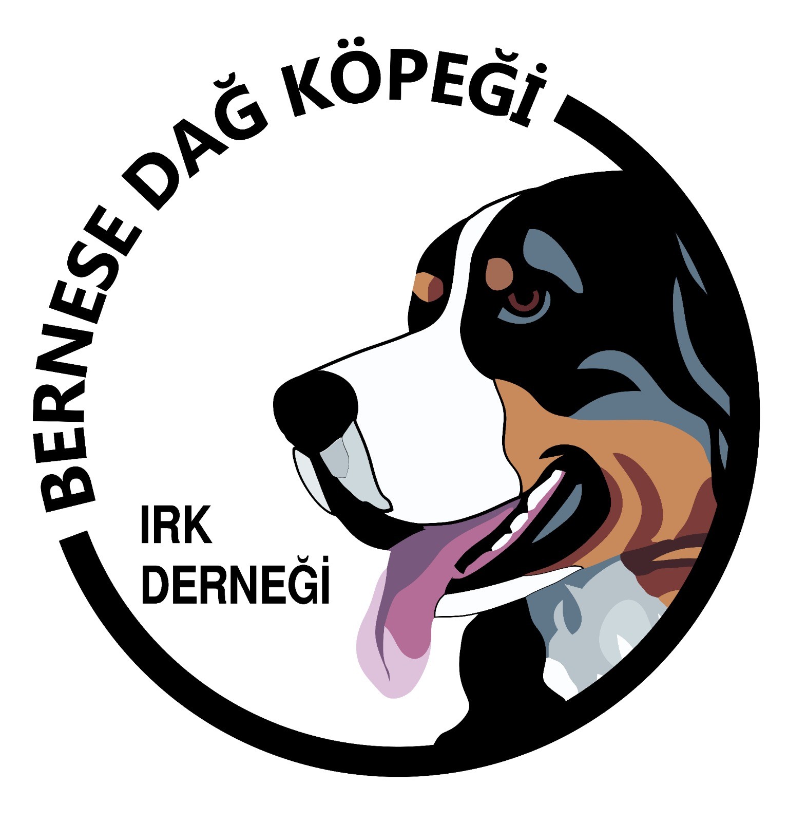 Bernese Dag Kopegi Irk Dernegi