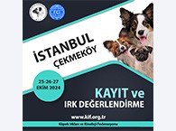 İstanbul Çekmeköy Kayıt ve Irk Değerlendirme Etkinliği 2024