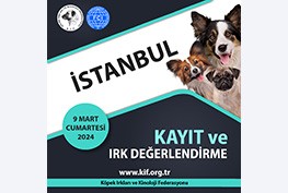İstanbul Kayıt ve Irk Değerlendirme Etkinliği 2024