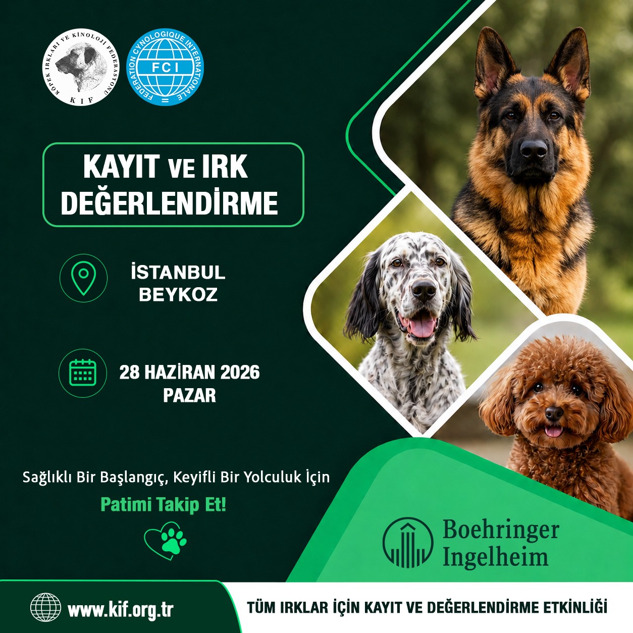 İstanbul Beykoz Kayıt ve Değerlendirme Etkinliği 2026.