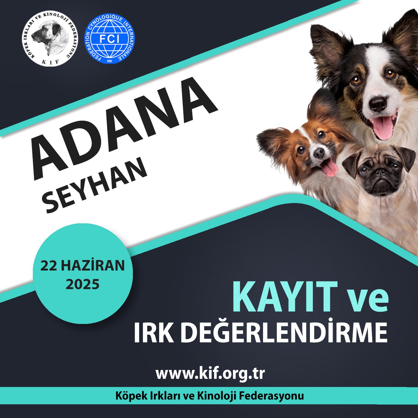 Adana Kayıt ve Irk Değerlendirme Haziran 2025
