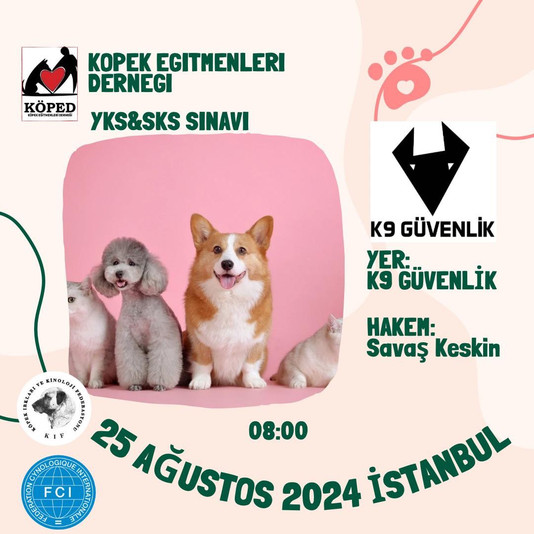 İstanbul SKS YKS Ağustos 2024 Sınavı