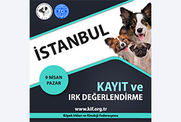 İstanbul Kayıt ve Irk Değerlendirme Etkinliği 2023