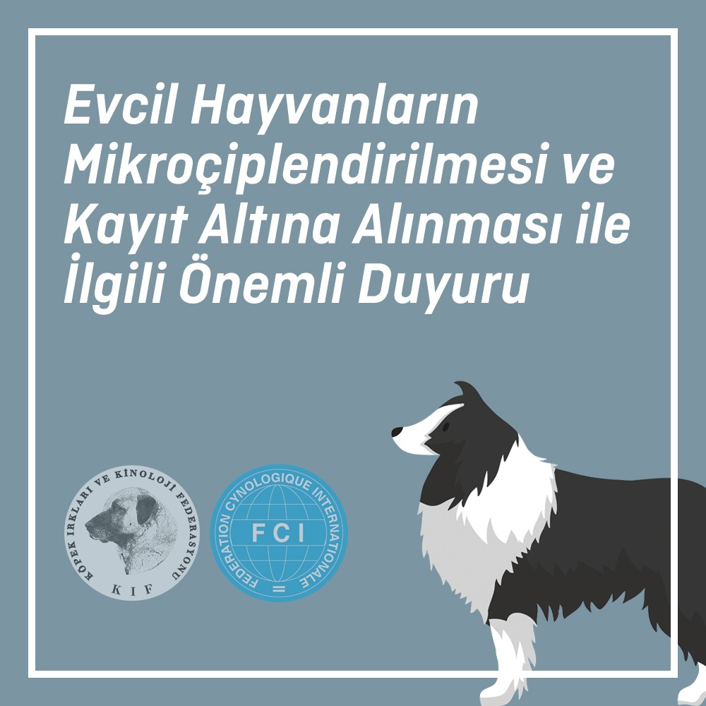 Evcil Hayvanların Mikroçiplendirilmesi ve Kayıt Altına Alınması ile İlgili Önemli Duyuru