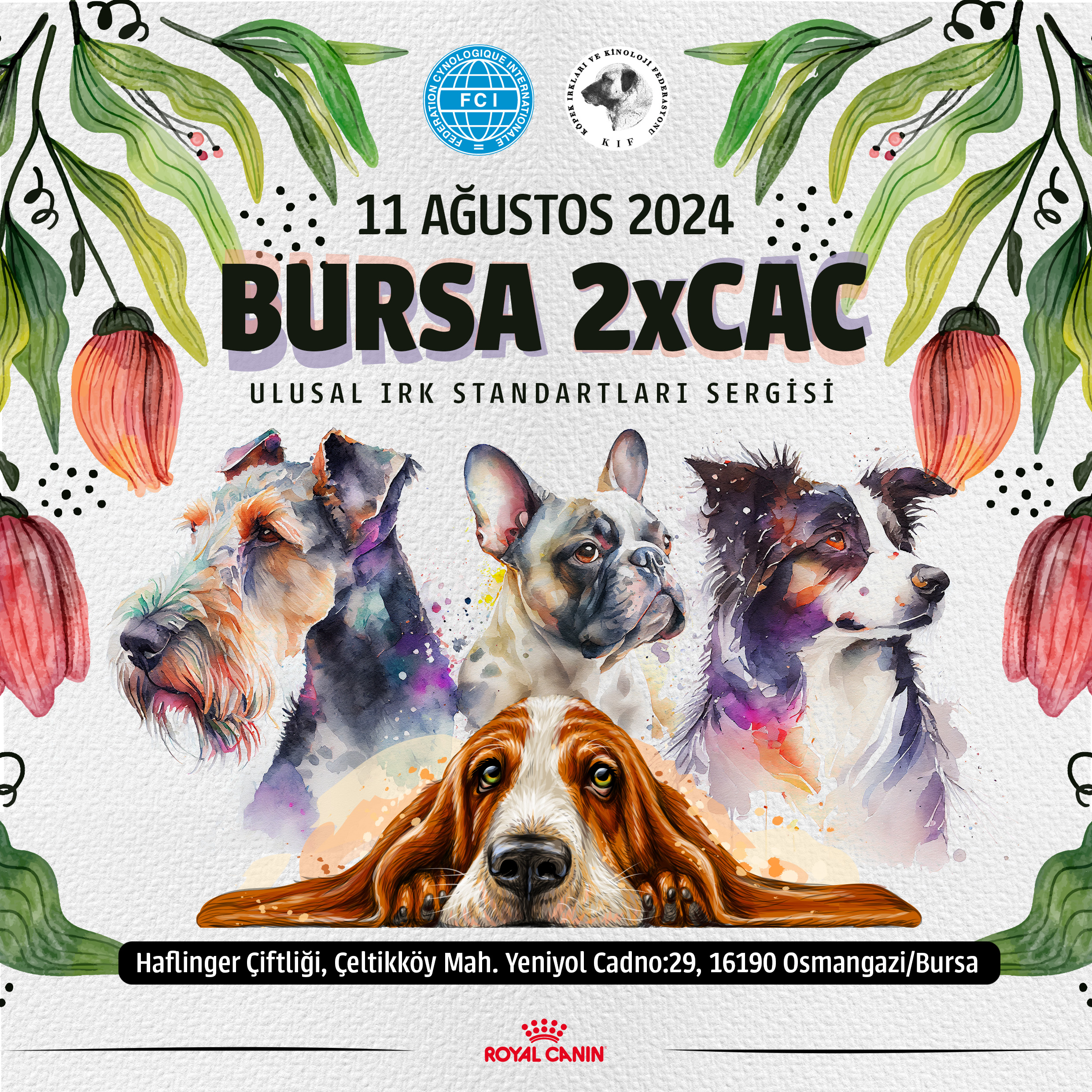 Bursa Kupası 2024 Ulusal Irk Standartları Sergisi