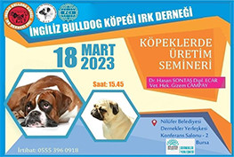 İngiliz Bulldog Köpeği Irk Derneği - Köpeklerde Üretim Semineri
