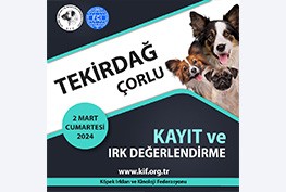 Çorlu Kayıt ve Irk Değerlendirme Etkinliği 2024