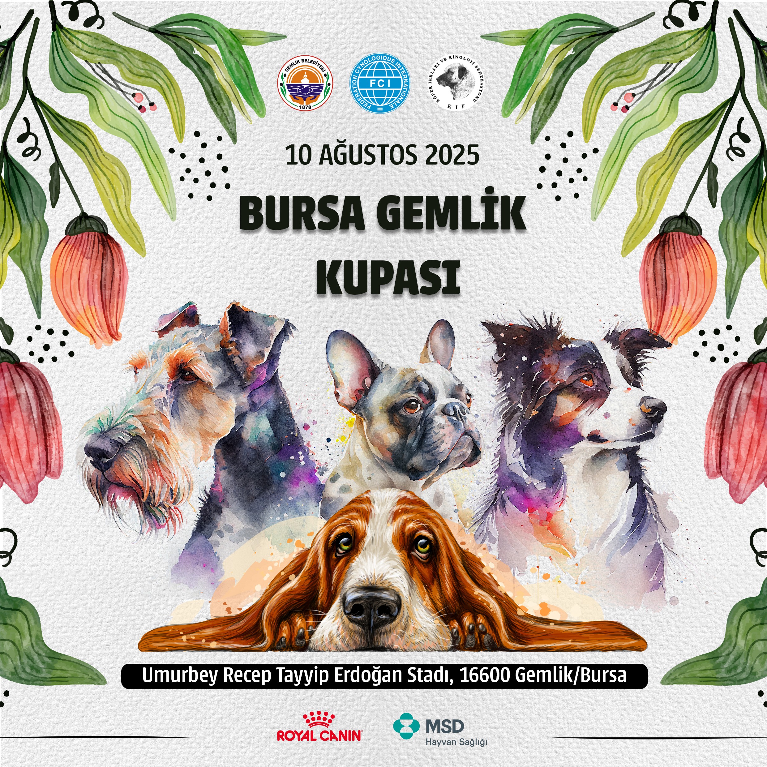 Bursa Gemlik Kupası 2025 Ulusal Irk Standartları Yarışması