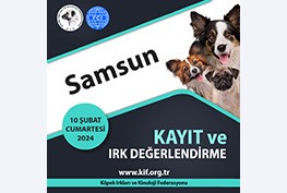 Samsun Kayıt ve Irk Değerlendirme Etkinliği 2024