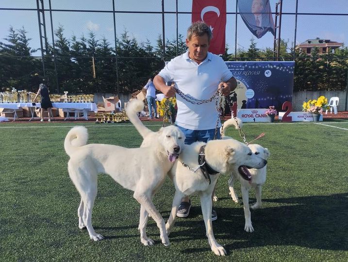 Royal Canin’den Yetiştiricimize Anlamlı Destek