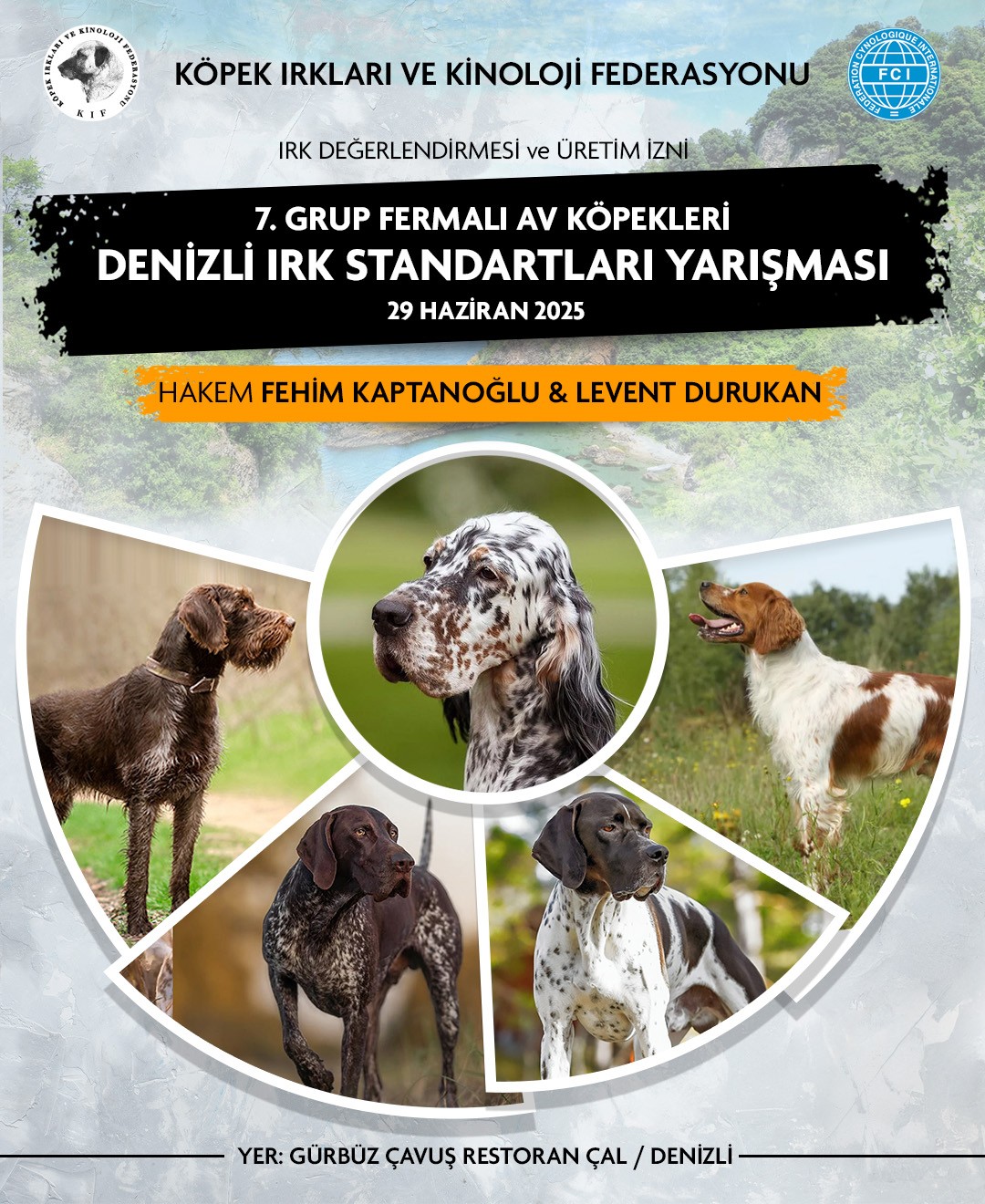 Denizli 7.Grup Irk Standartları Yarışması