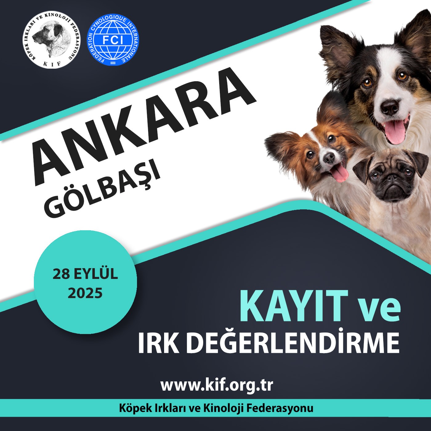 Ankara Gölbaşı Kayıt ve Irk Değerlendirme Etkinliği 2025