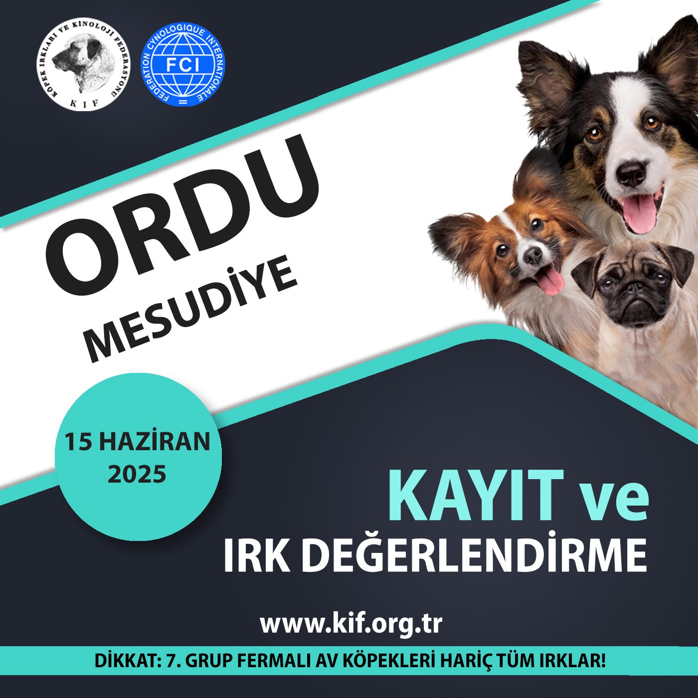 Ordu Kayıt ve Irk Değerlendirme Haziran 2025