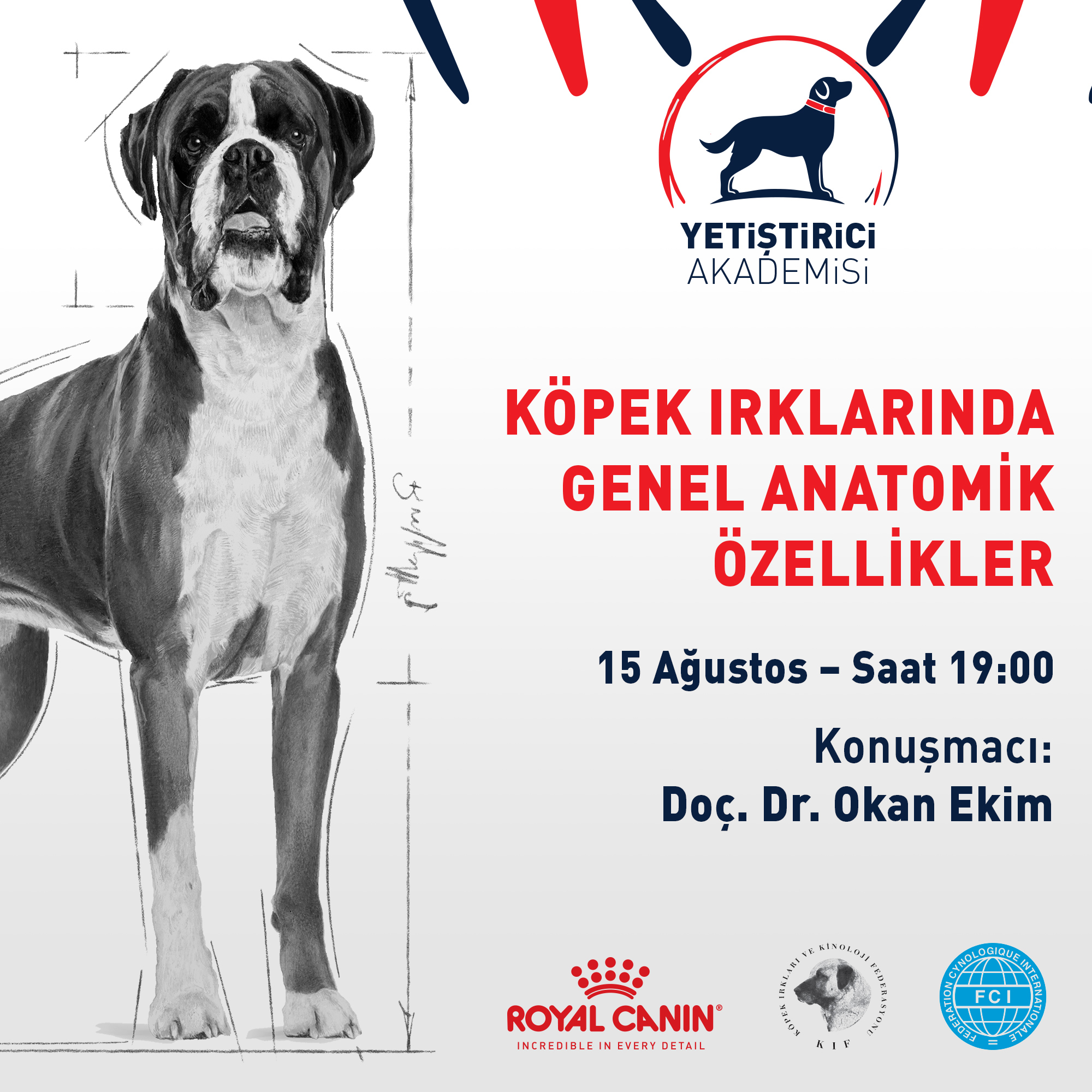 Köpek Irklarında Genel Anatomik Özellikler Online Semineri