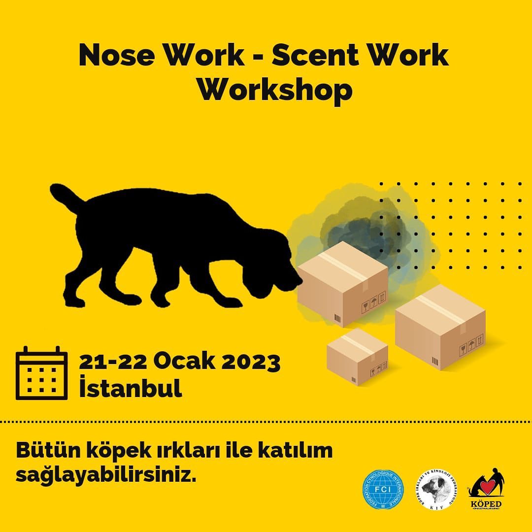 Nose Work - Scent Work - Workshop