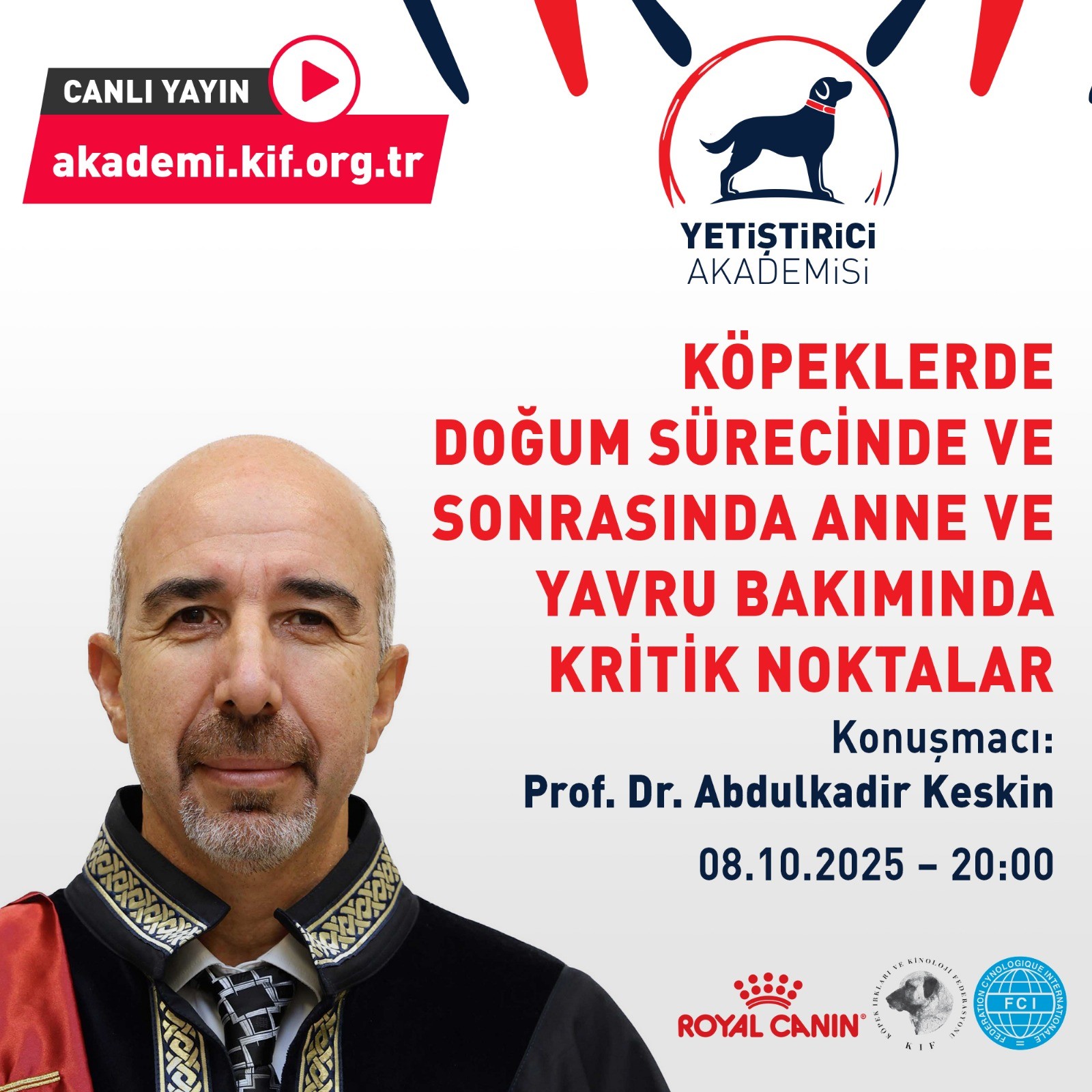 Köpeklerde Doğum Süreci (Canlı Yayın)