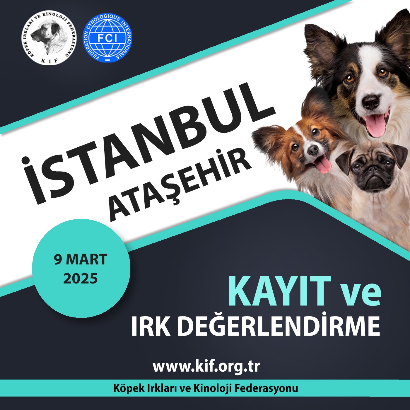 İstanbul Ataşehir Kayıt ve Irk Değerlendirme 2025