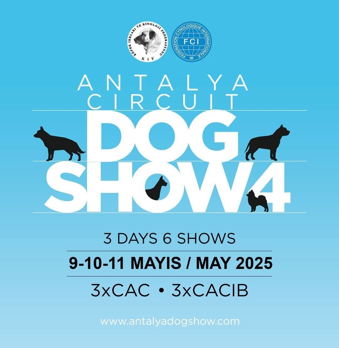 ANTALYA CIRCUIT DOG SHOW 4