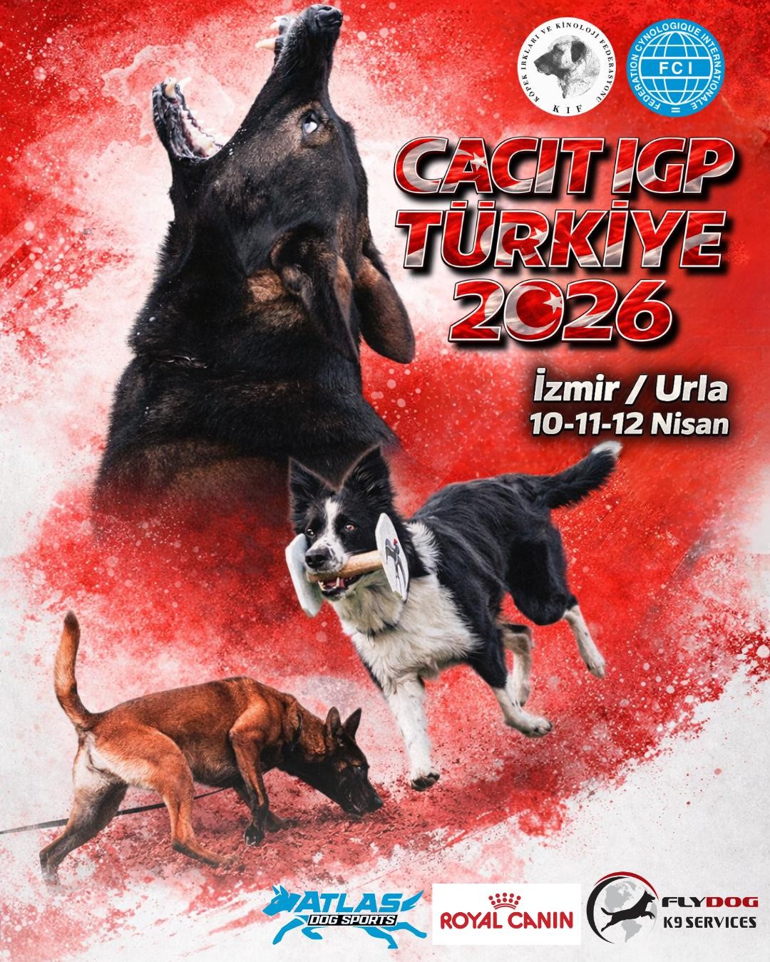 CACIT IGP Türkiye 2026 İzmir/Urla’da!