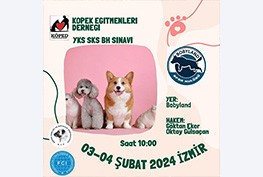 İzmir YKS-SKS-BH Sınavları