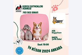 Ankara YKS-SKS Sınavları