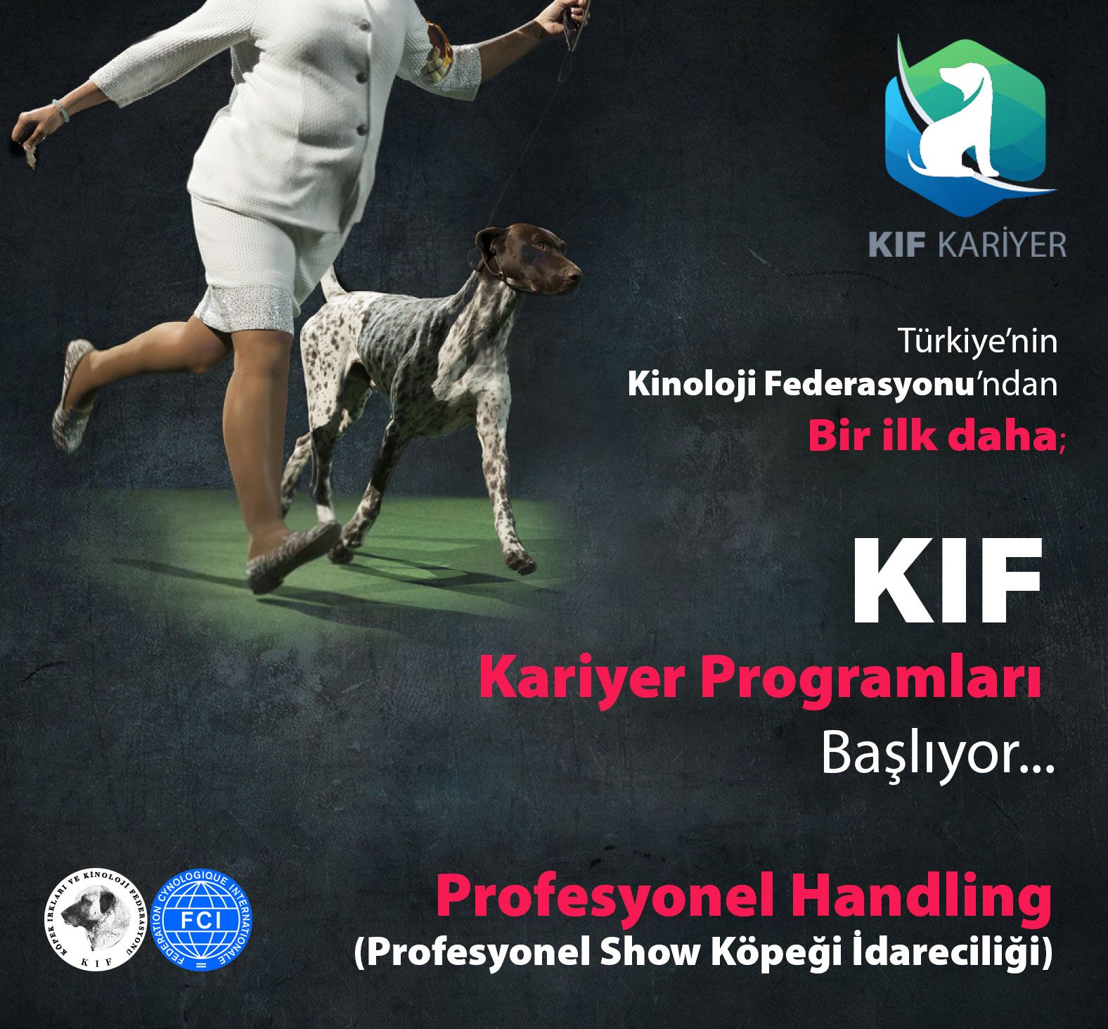 Profesyonel Handler Kariyer Kurs Programı