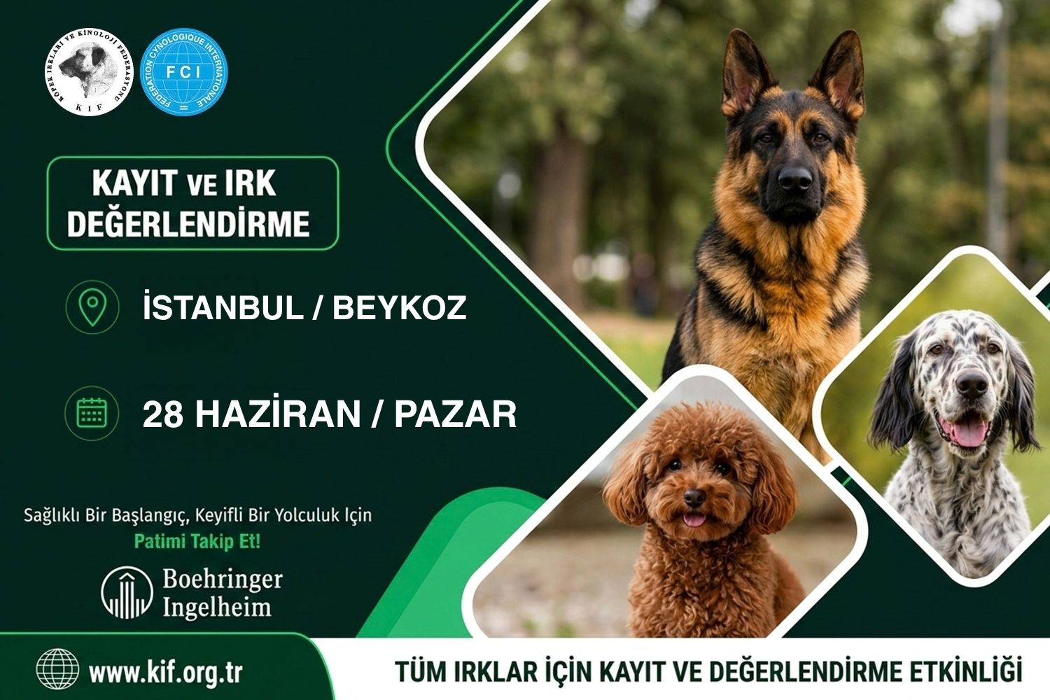 İstanbul Beykoz Kayıt ve Değerlendirme Etkinliği 2026.