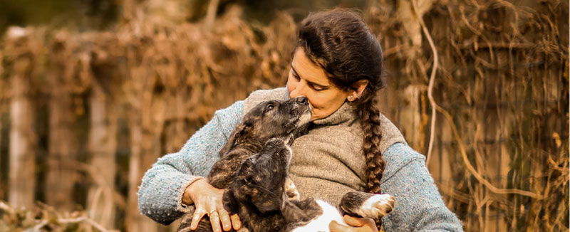 Sorumlu Köpek Sahibi Kimdir