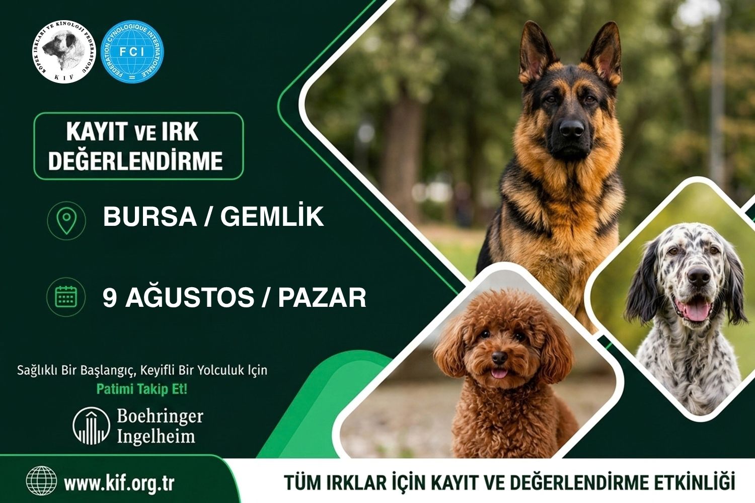 Bursa Gemlik Kayıt ve Değerlendirme Etkinliği 2026