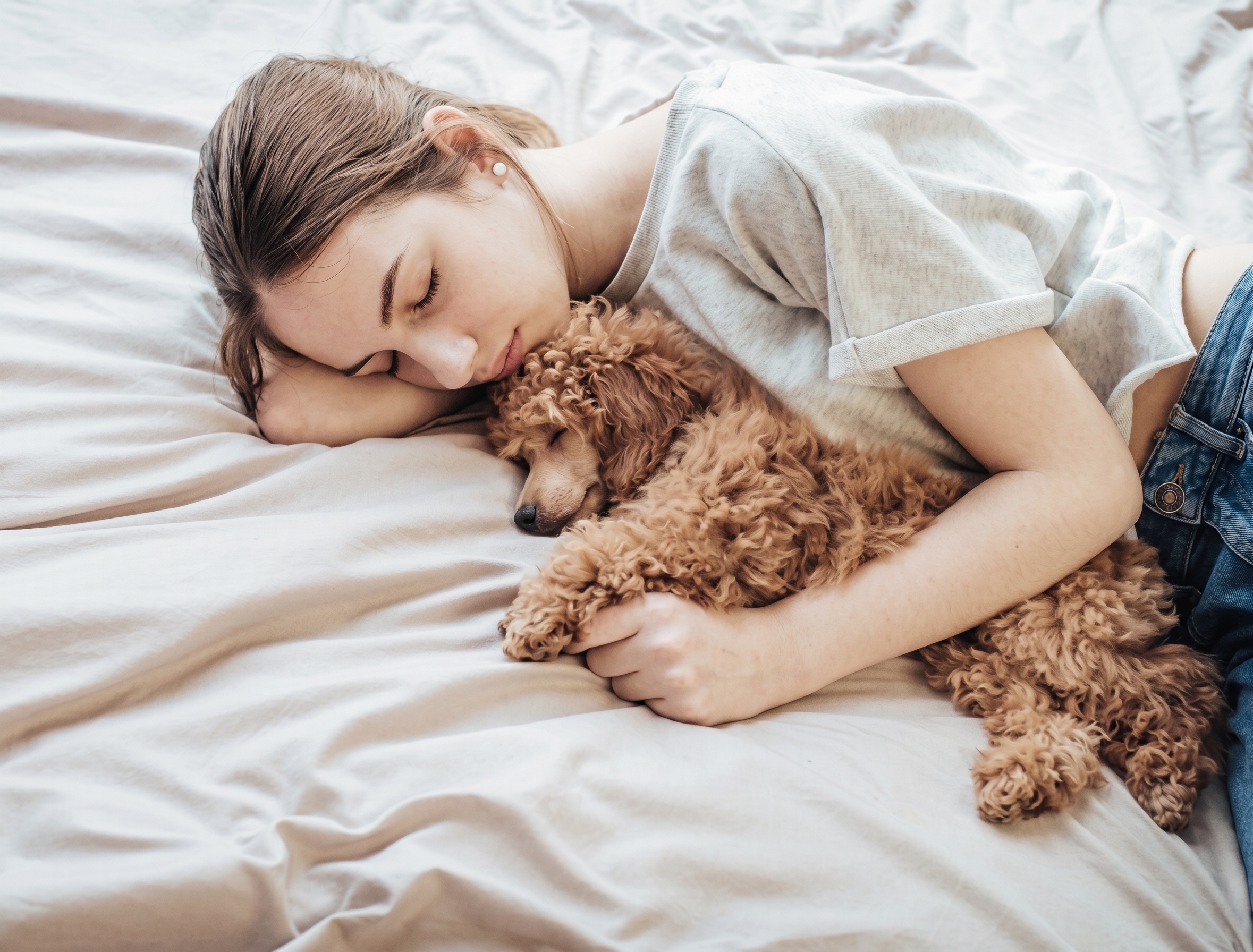 Köpek Sahibinin Yanında Uyuyorsa Onu Yatağından Etmeyi Mi Düşler?
