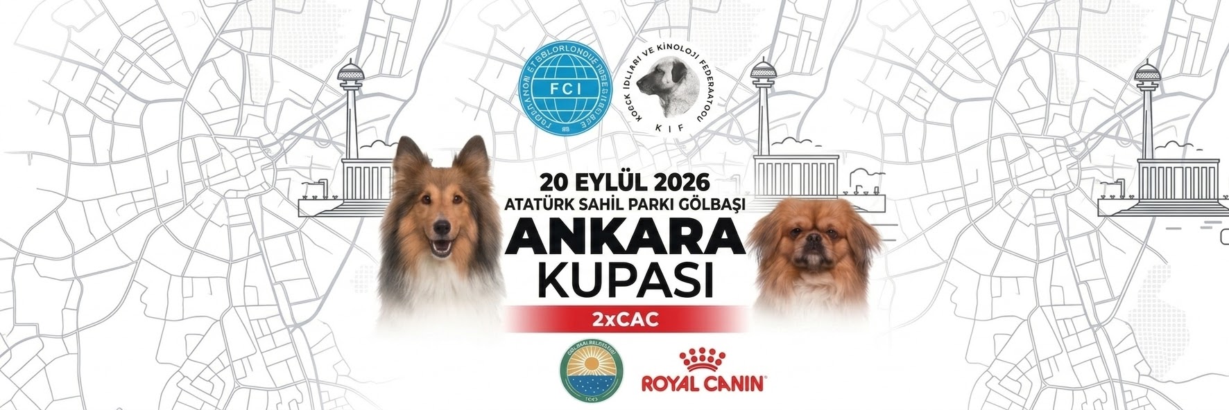Ankara Kupası 2026