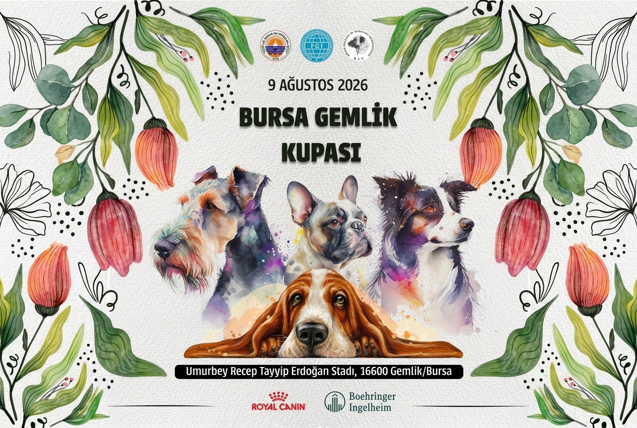 Bursa Dog Show 2026